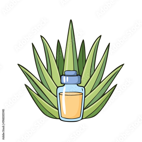 Agave plant and bottle of liquid, natural essence illustration