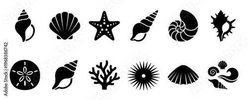 Black seashell and marine life silhouette icons in a minimalist graphic set, featuring a starfish, sand dollar, sea urchin, coral, scallop, and various conch shell designs