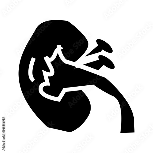 kidney body glyph solid style icon illustration vector