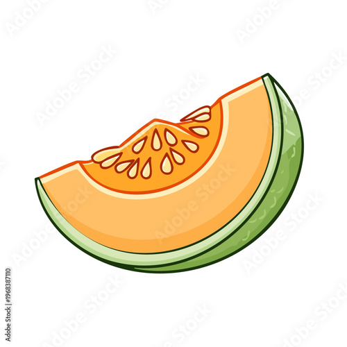 Sweet cantaloupe melon slice with visible seeds and juicy orange flesh