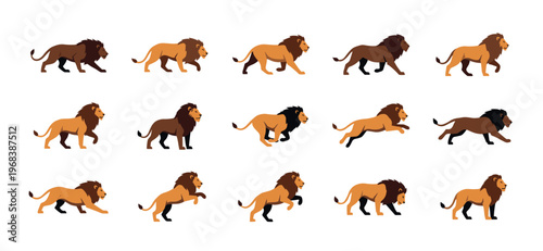 Collection of male lion character illustrations in various dynamic poses, showing a complete animation cycle sequence with walking, running, stalking, and jumping movements