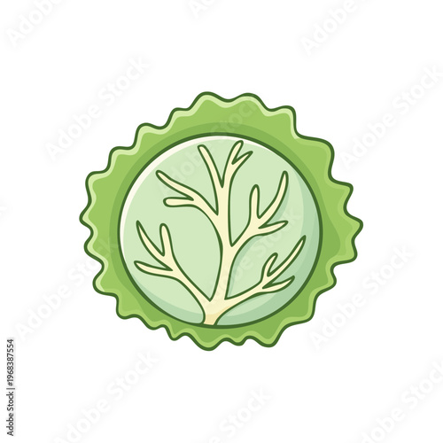 Illustration of a green cabbage slice showing its internal structure and texture