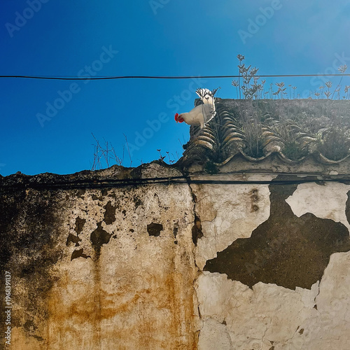 White chicken on a roof of an old white andalusian house under a clear blue sky. Colmenar, Malaga, Andalusia, Spain.