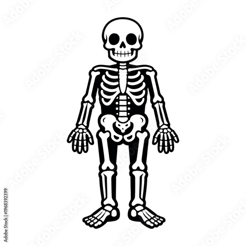 Cartoon skeleton mascot standing, representing death, anatomy, and Halloween, with a friendly, spooky, humorous character design