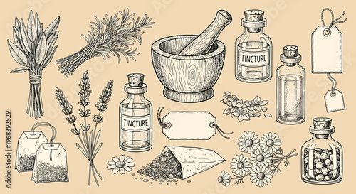 An outline sketch vector illustration of herbs, bottles, and mortar for natural remedy preparation in a rustic setting.