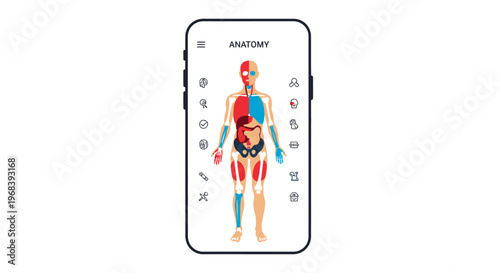 Anatomy human body illustration on phone. Vector Icon. EPS Editable