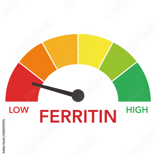 ferritin level measuring indicator with colorful speedometer showing low level. Iron deficiency blood test