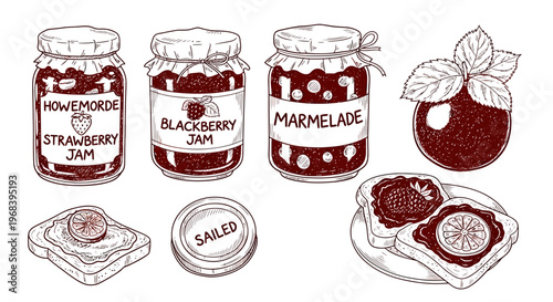 An outline sketch vector illustration of jars and toast with homemade strawberry jam, blackberry jam, marmelade, and fresh fruits.
