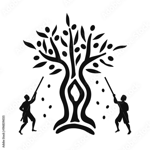 Outline silhouettes of two men piking the olives from the tree. People collect the olives directly from the tree. Vector isolated illustration.