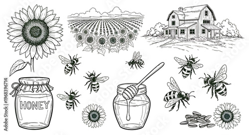 An outline sketch vector illustration of a rustic farm scene with a giant sunflower, a honey jar, and busy bees near a barn.