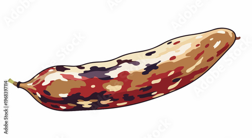 Bean pod illustration on white background, showcasing unique mottled pattern in shades of red, brown, purple cream. Healthy bean pod represents natural agricultural produce, wholesome nutrition,