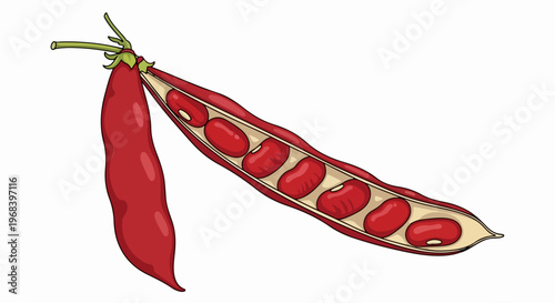 Red bean pod illustration, depicting vibrant crimson skin and fresh green stem. Open red bean pod reveals several kidney beans, alongside a whole closed pod.