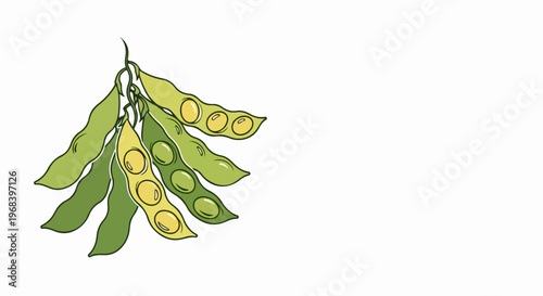 Fresh green soybean pods illustrated in vibrant watercolor style, depicting healthy natural produce. Opened and closed soybean pods show delicious edible beans inside, perfect for dietary information.