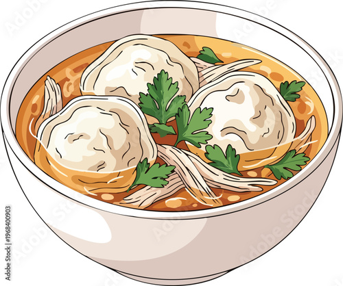 Delicious Chicken Noodle Soup with Dumplings and Fresh Parsley.