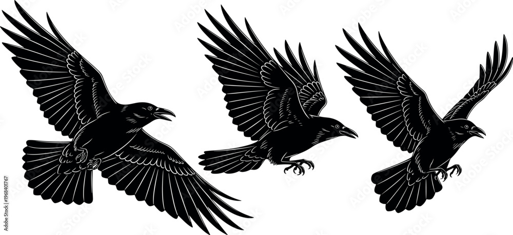 Naklejka premium Black crow silhouette vector set with flying birds in different wing positions detailed raven wildlife illustration collection design