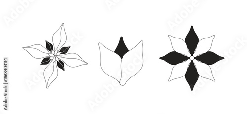 Stylized flowers 2D line objects set. Spring blossoms. Motif floral. Blooming variety. Various flowerheads isolated cliparts vector ink outline items. Monochrome spot illustrations collection
