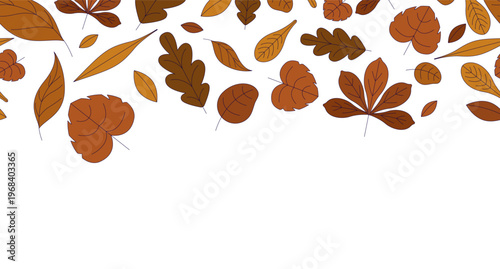 Autumn leaves top frame illustration. Fall foliage. Decorative upper border on white background. Web header with copy space. Seamless horizontal pattern. Page decoration. Vector divider separator