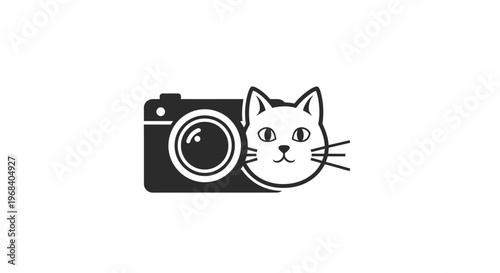 Cat peeking from behind camera.