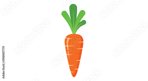A vibrant, stylized illustration of a fresh orange carrot with green leafy tops, isolated on a clean white background, conveying freshness and