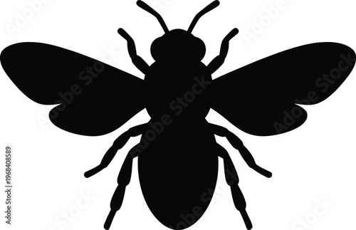 Black silhouette of a bee with spread wings and six legs on a white background illustration