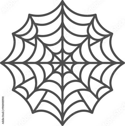 Vector graphic illustration of a detailed spider web design