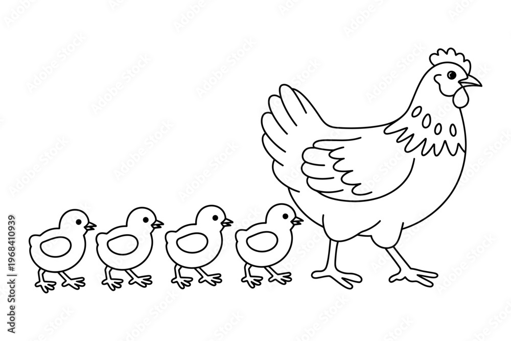 Fototapeta premium Vector of a mother hen with four baby chicks walking together