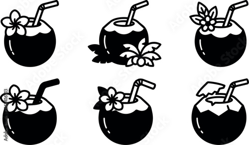 Coconut drinks with flowers and straws in six styles
