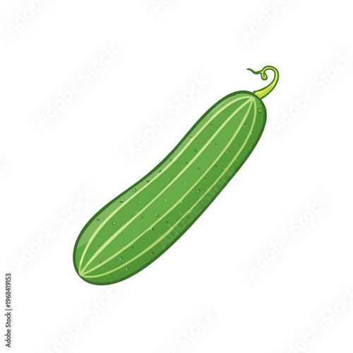 Fresh green snake gourd with distinct stripes and curly stem isolated on white background for healthy eating and cooking