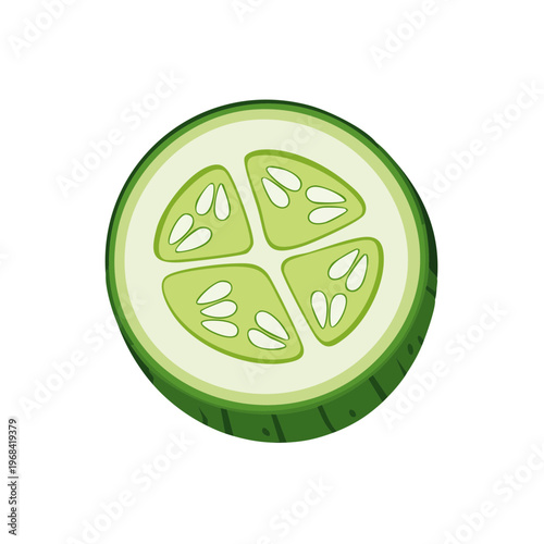 Fresh Green Cucumber Slice Top View Isolated on White Background