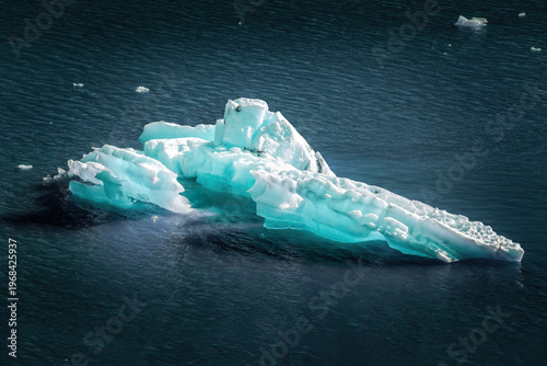 Turquoise glowing Iceberg floating quietly in a remote Alaskan Fjord Wilderness