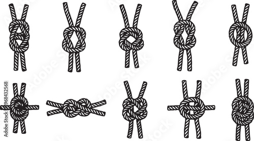 Line art illustrations of various types of corn on the cob Vector