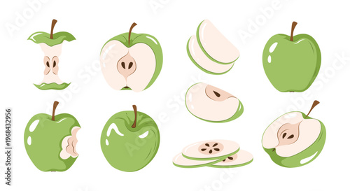 Set of green apples with whole, sliced, half and core pieces. Fruit vector illustration