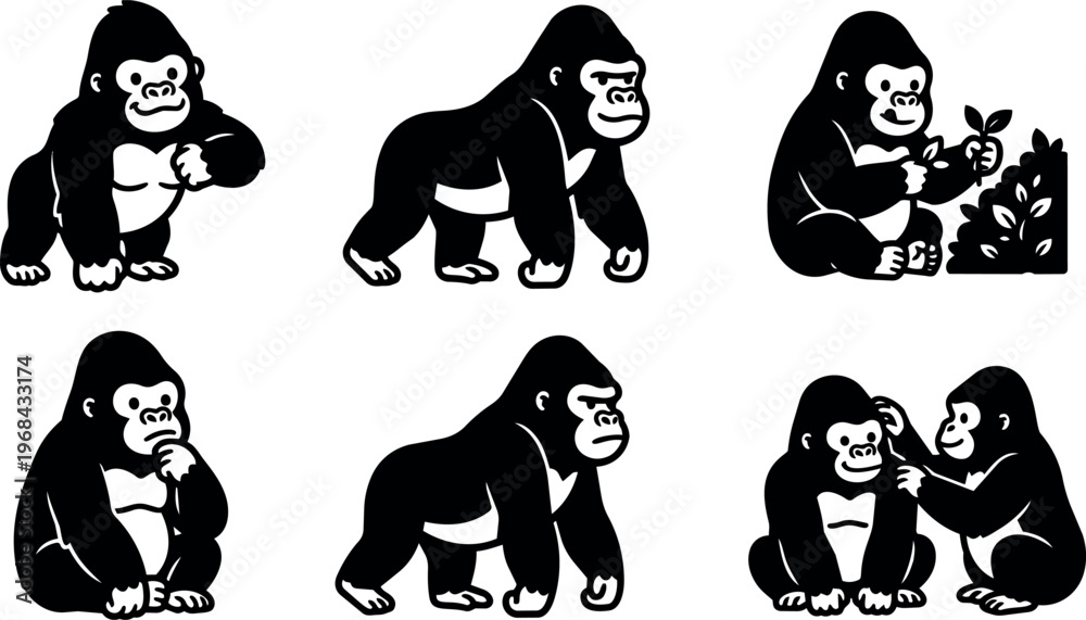 Fototapeta premium Six gorillas in various poses including sitting standing and interacting