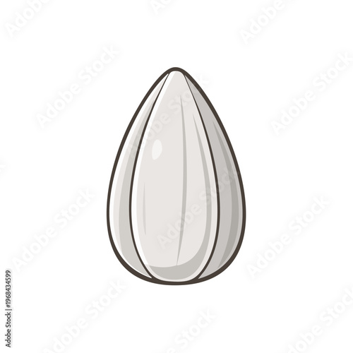 Single white sunflower seed with cartoonish outline and shading on a plain background