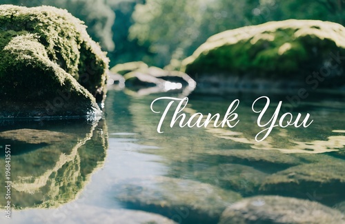 Thank You Text on Peaceful Nature Stream – Calm Water and Green Landscape Background
