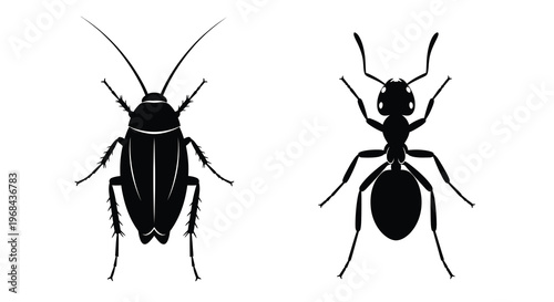 Two insect silhouettes showcase detailed forms exhibiting striking black shapes silhouette
