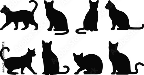 Cat silhouettes set, domestic feline poses sitting walking playing pet animals vector illustration isolated design