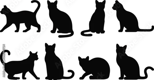 Fototapeta na wymiar Cat silhouettes set, domestic feline poses sitting walking playing pet animals vector illustration isolated design