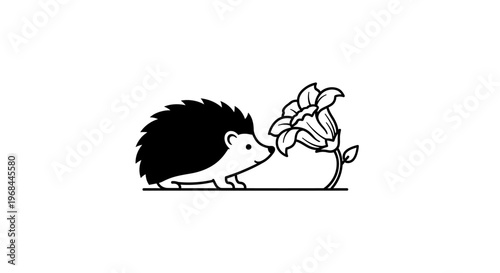 Hedgehog Smelling a Flower.