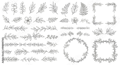 Various leafy floral border designs.