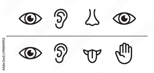 Comparison of senses sight hearing nose and eye above taste tongue and hand below.