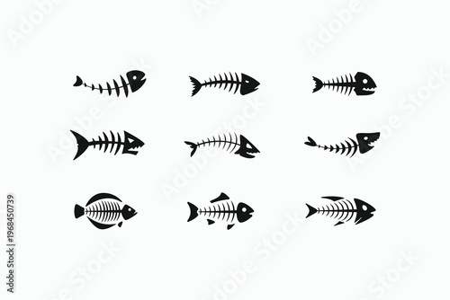 Simple black fish skeletons on a light background. Each skeleton varies in shape and size. Ideal for biology or marine science projects. Perfect for educational or decorative uses