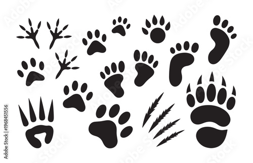 Collection of various animal and human footprints on white background vector illustration for graphic design.