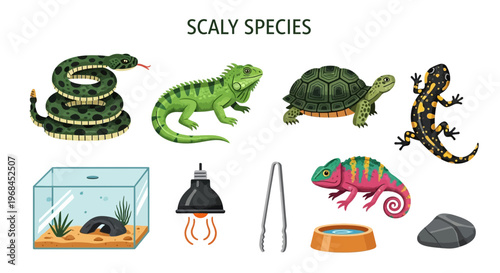 modern flat vector illustration Scaly species reptiles and pets.