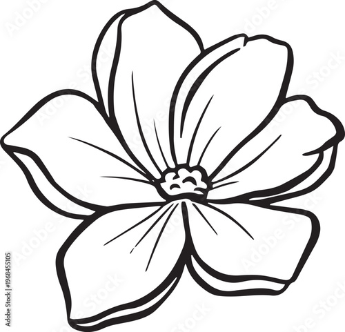 Simple floral flower heads wildflower outline clipart vector illustration