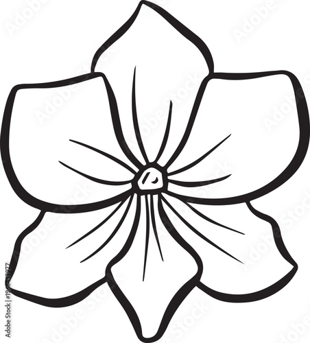 Simple floral flower heads wildflower outline clipart vector illustration