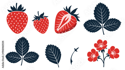 Detailed strawberry botanical set with ripe berries sliced fruit green leaves and delicate red flowers on a white background.