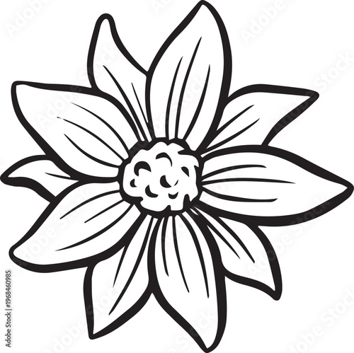 Simple floral flower heads wildflower outline clipart vector illustration