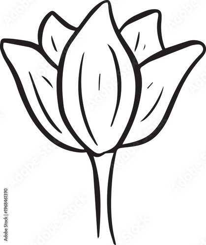 Simple floral flower heads wildflower outline clipart vector illustration