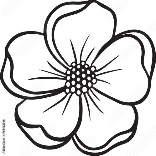 Simple floral flower heads wildflower outline clipart vector illustration